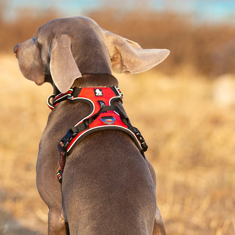 TRUELOVECN Reflective Nylon No Pull Adjustable Dog Harness