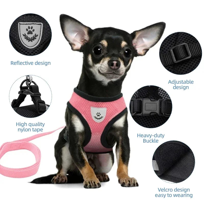 Cat Harness Vest With Leash And Adjustable Mesh For Pets