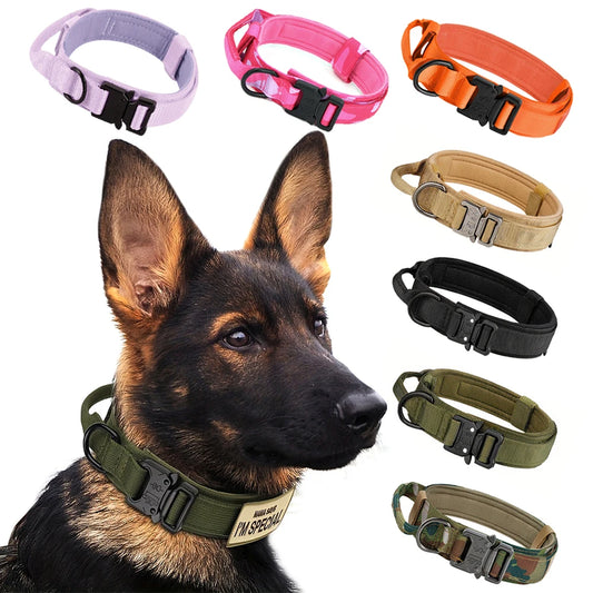 Adjustable Dog Training Collar With Leash Set And Control Handle