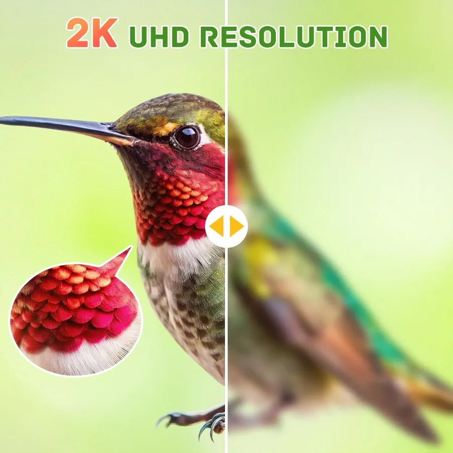 SHXI Smart Glass Hummingbird Feeder With Camera Solar Powered