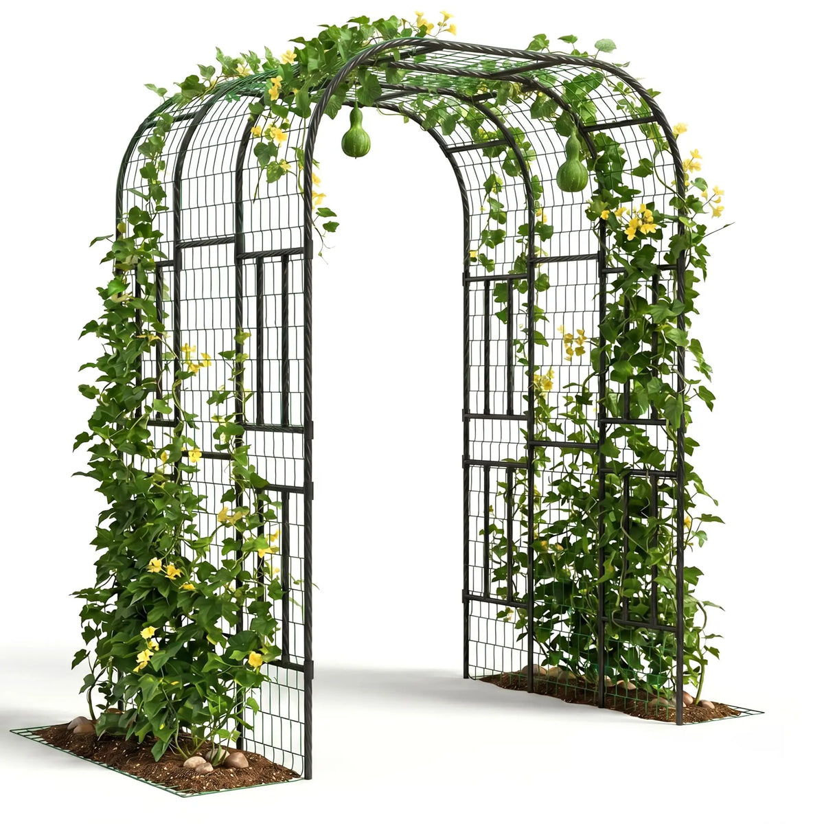 DishyKooker Steel Garden Arch Trellis For Climbing Plants