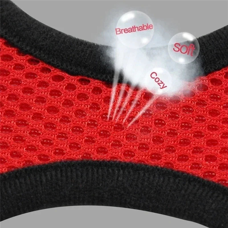 Cat Harness Vest With Leash And Adjustable Mesh For Pets