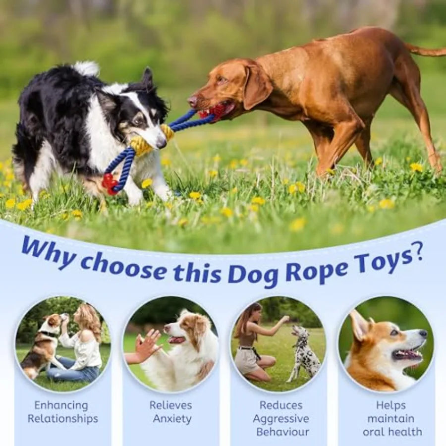 Interactive Dog Rope Toy for Tug Of War and Chewing Fun