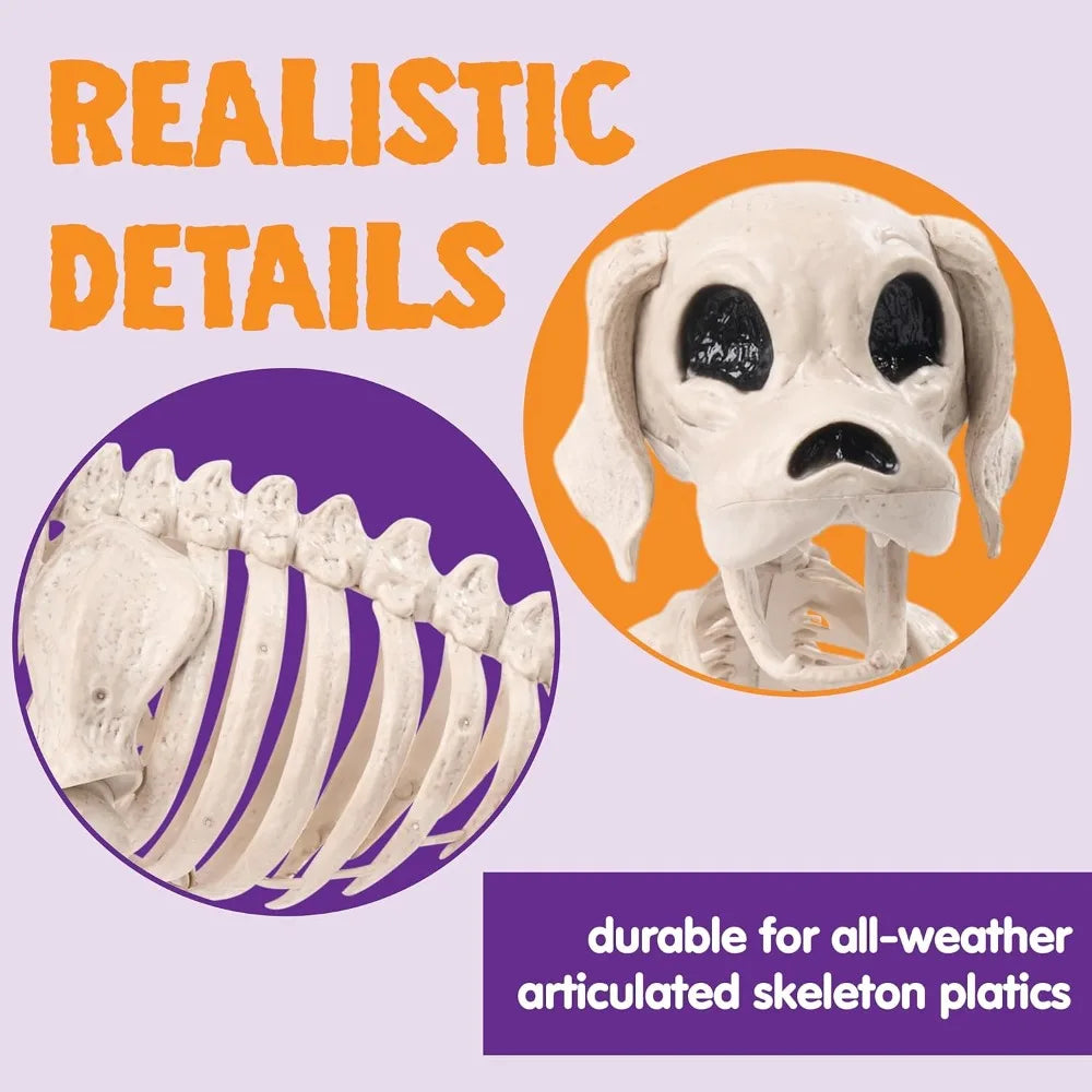 Realistic Posable Halloween Dog Skeleton With Movable Joints