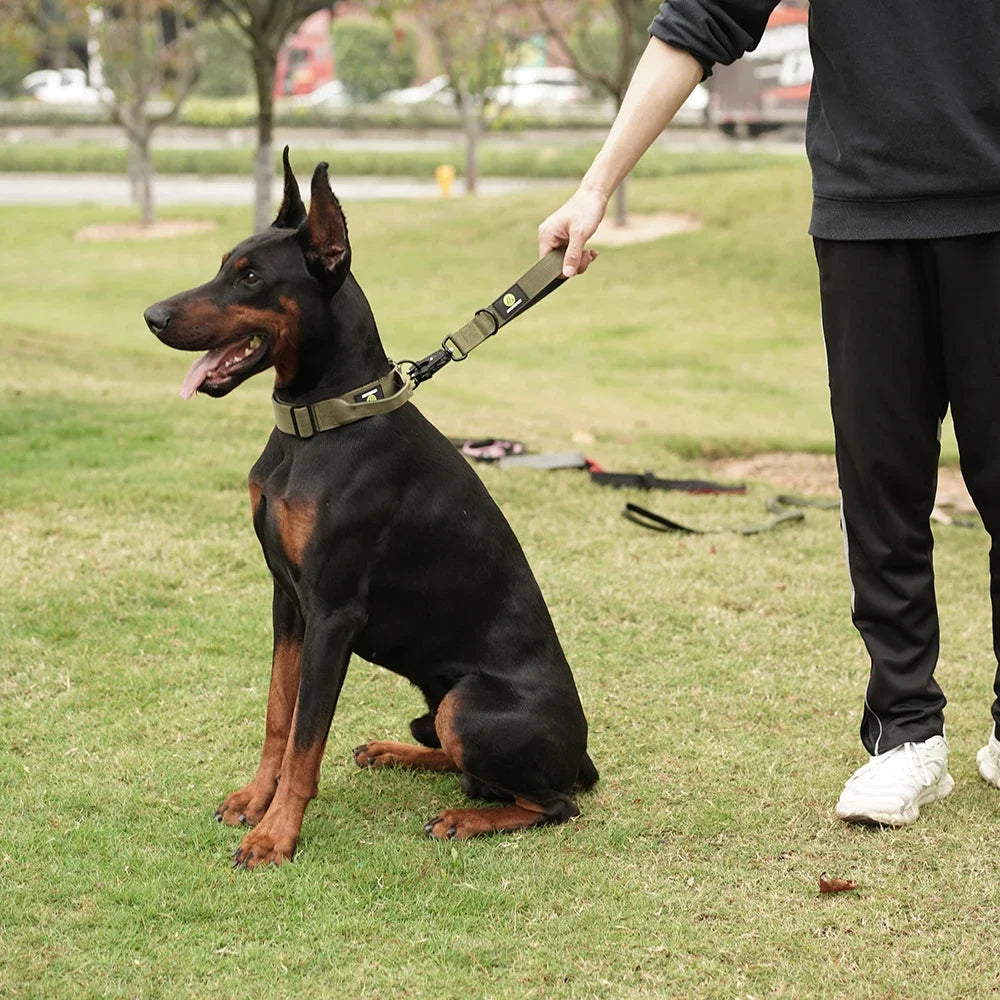 Short Dog Leash With Padded Handle Heavy Duty Nylon Traffic