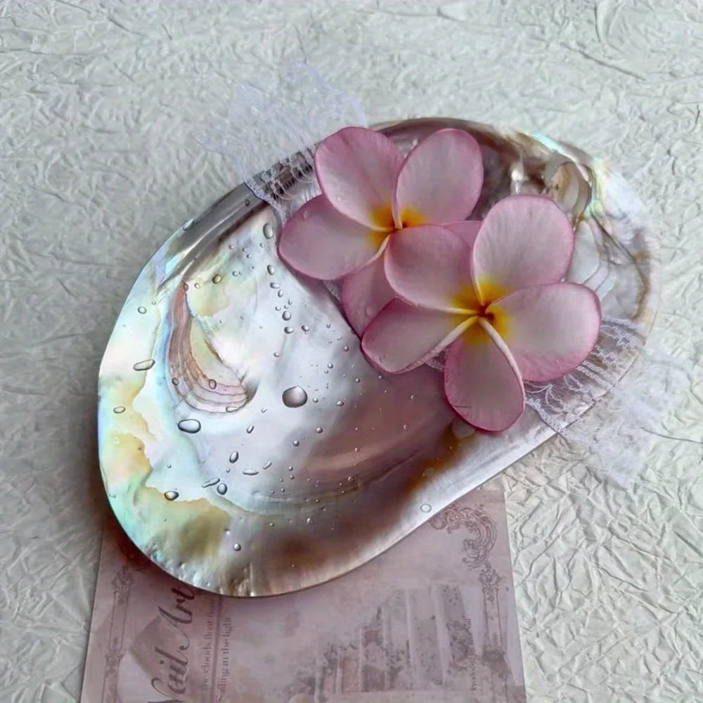 Shell Jewelry Tray Display Bowl For Beach Home Decor Gift