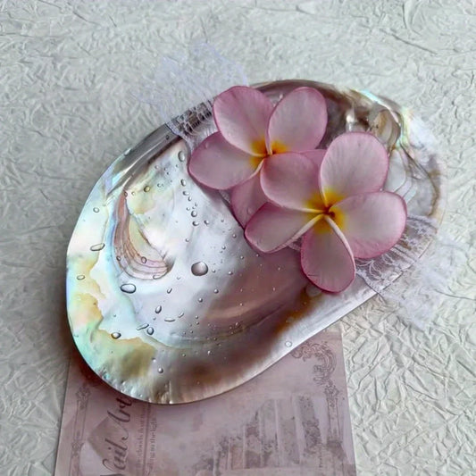 Shell Jewelry Tray Display Bowl For Beach Home Decor Gift