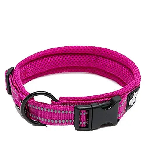 TRUELOVE Nylon Adjustable Dog Collar, Padded, Reflective, Heavy Duty