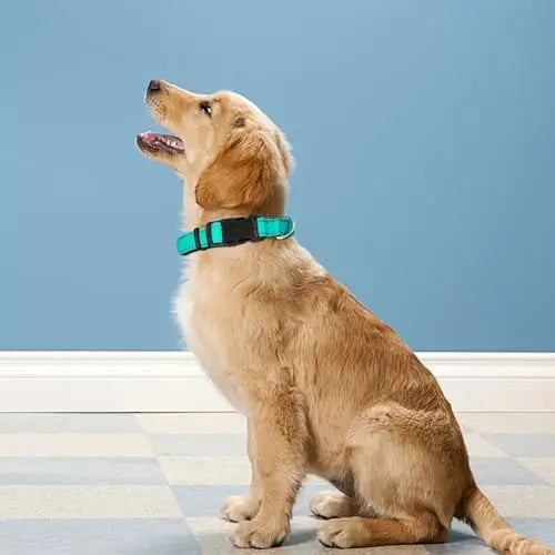 YTYIN Reflective Dog Collar with Adjustable Buckle