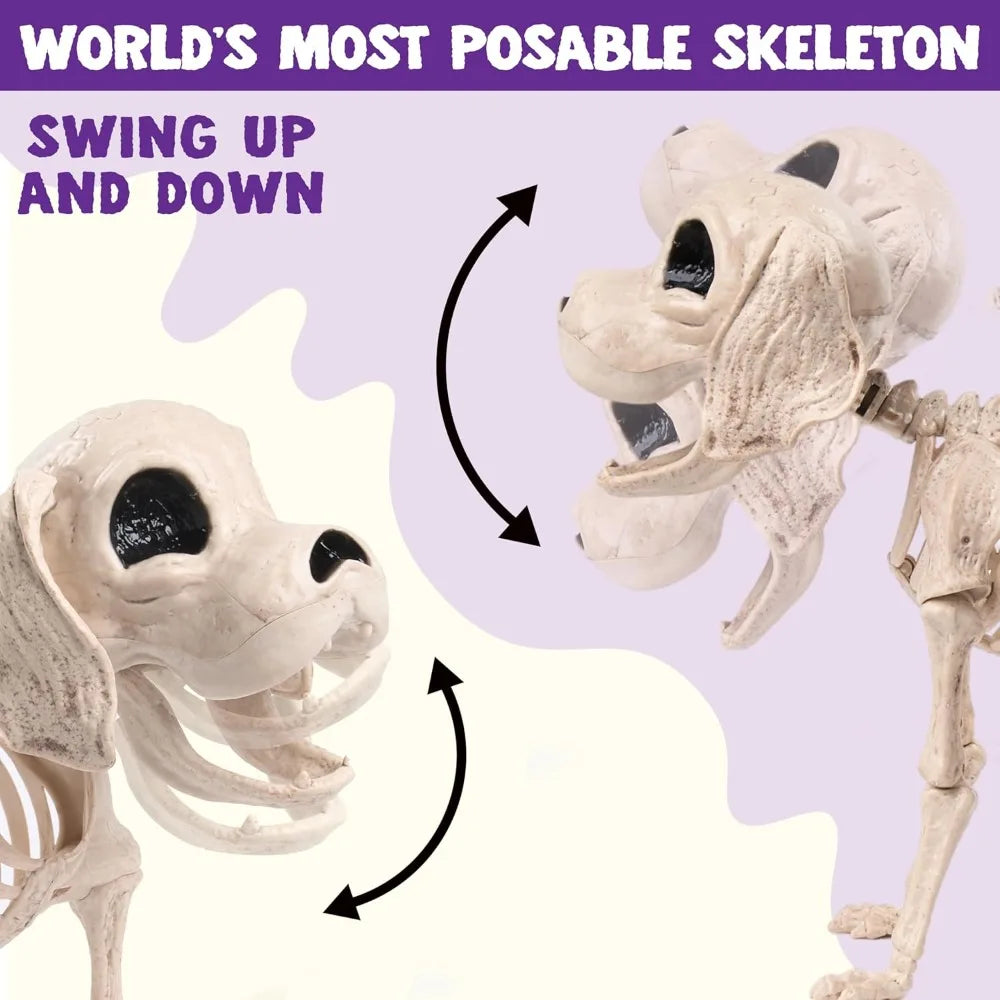Realistic Posable Halloween Dog Skeleton With Movable Joints