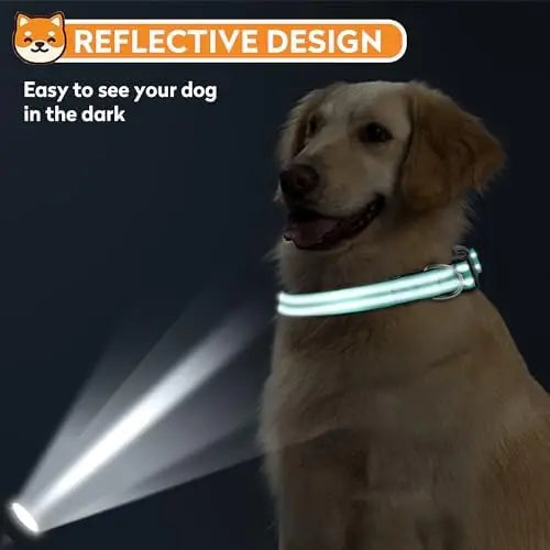 YTYIN Reflective Dog Collar with Adjustable Buckle