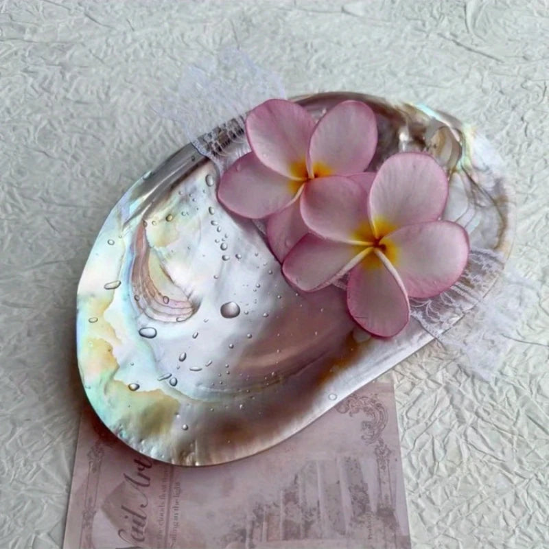 Shell Jewelry Tray Display Bowl For Beach Home Decor Gift