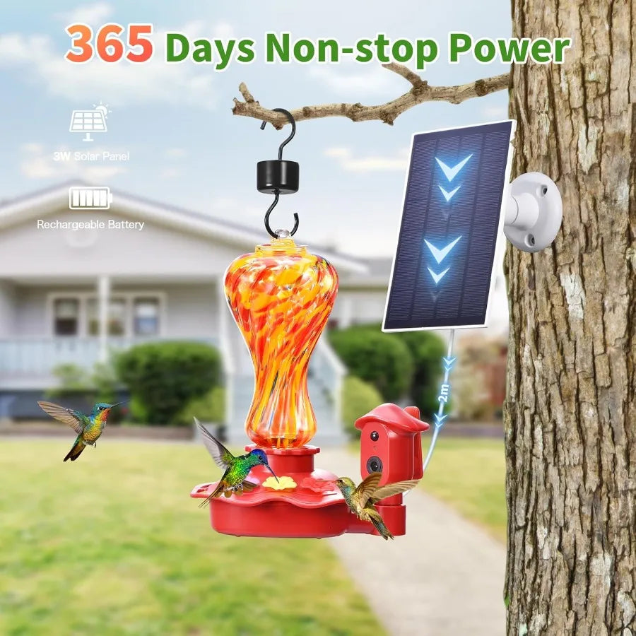 SHXI Smart Glass Hummingbird Feeder With Camera Solar Powered