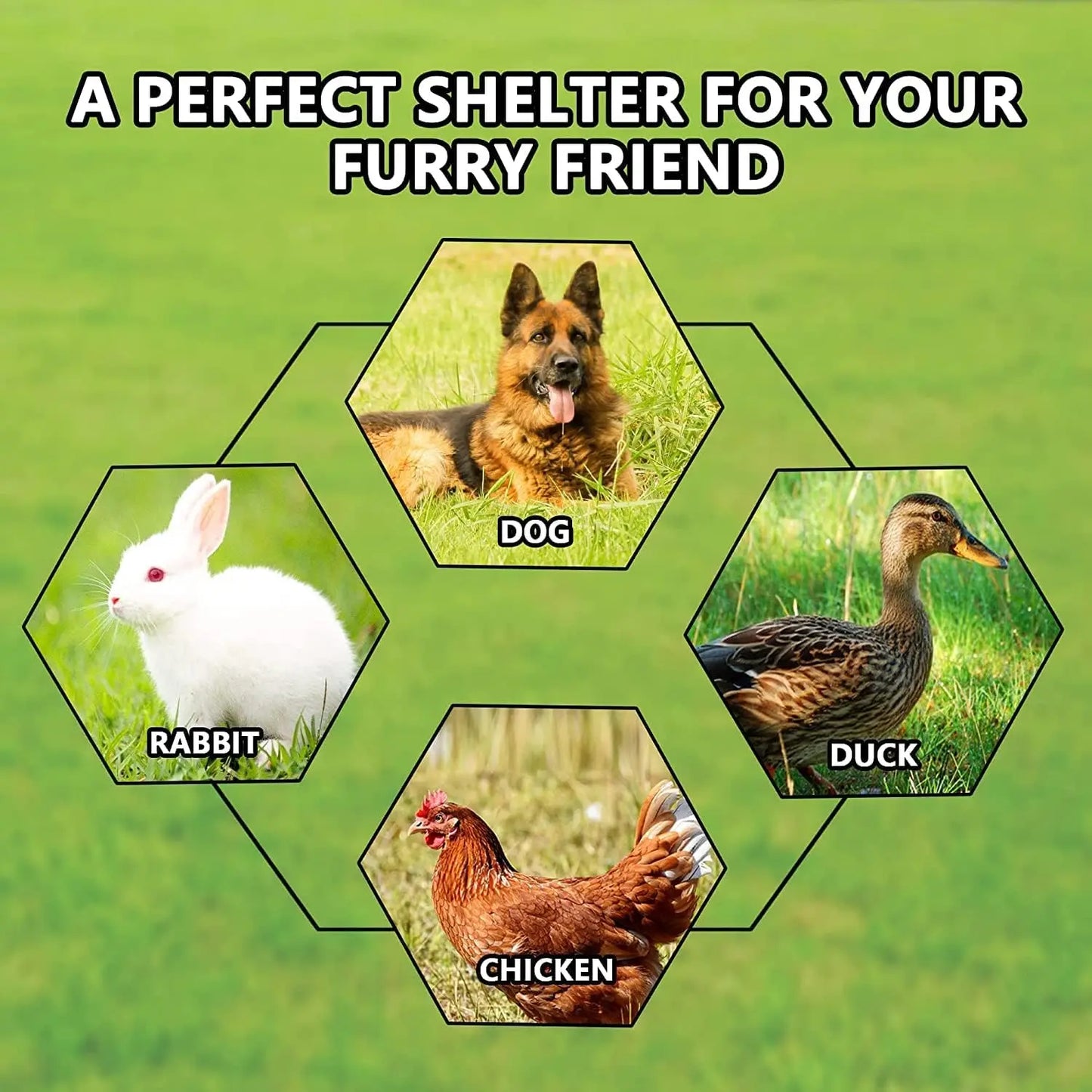 Outdoor Dog Kennel With Roof Galvanized Chain Link Lock
