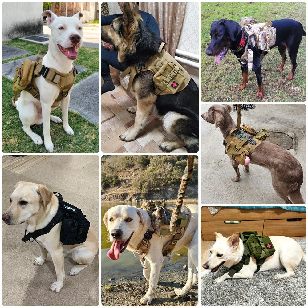 PETRAVELCN Dog Tactical MOLLE Pouches Set For Harness Training