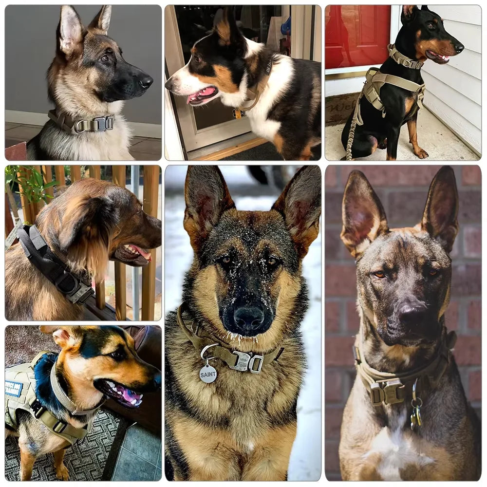 Dog Training Collar And Leash Set, Adjustable Tactical Collar