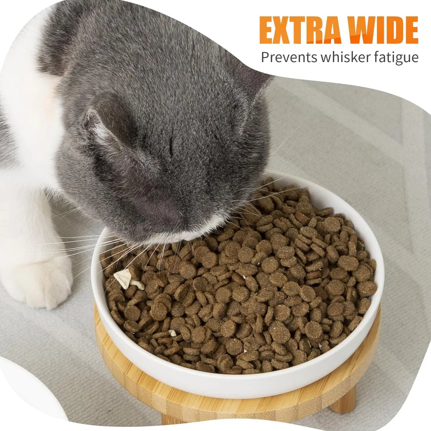Elevated Ceramic Cat Bowls With Bamboo Stand Whisker Friendly Indoor Cats