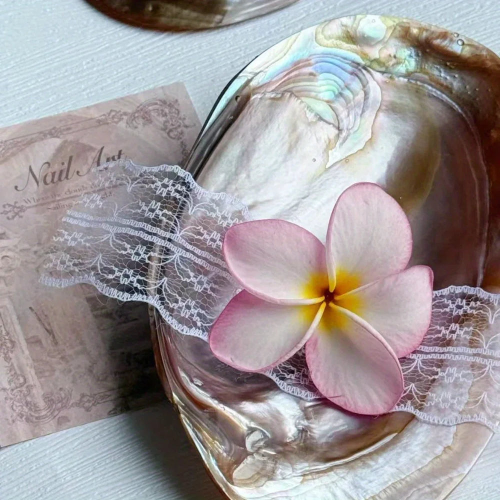Shell Jewelry Tray Display Bowl For Beach Home Decor Gift