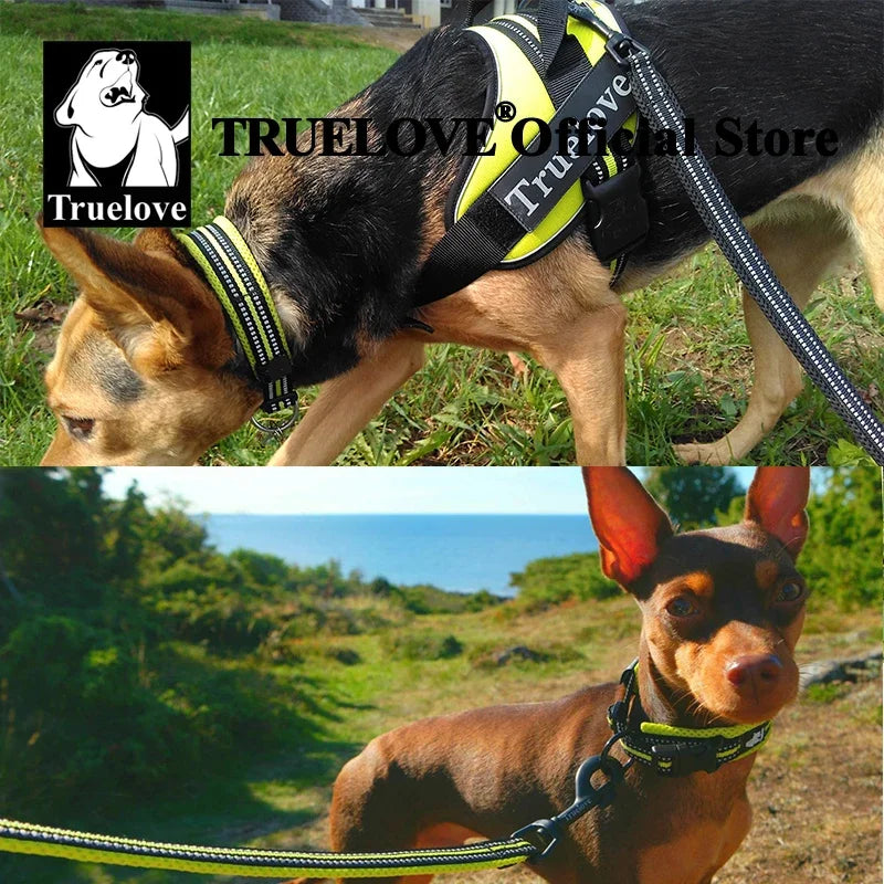 TRUELOVE Nylon Adjustable Dog Collar, Padded, Reflective, Heavy Duty