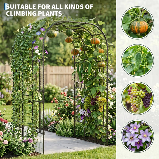 DishyKooker Steel Garden Arch Trellis For Climbing Plants