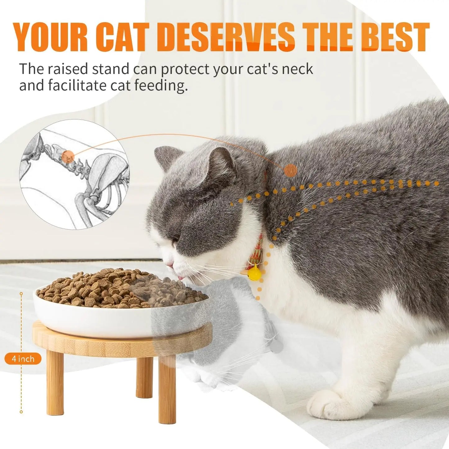 Elevated Ceramic Cat Bowls With Bamboo Stand Whisker Friendly Indoor Cats