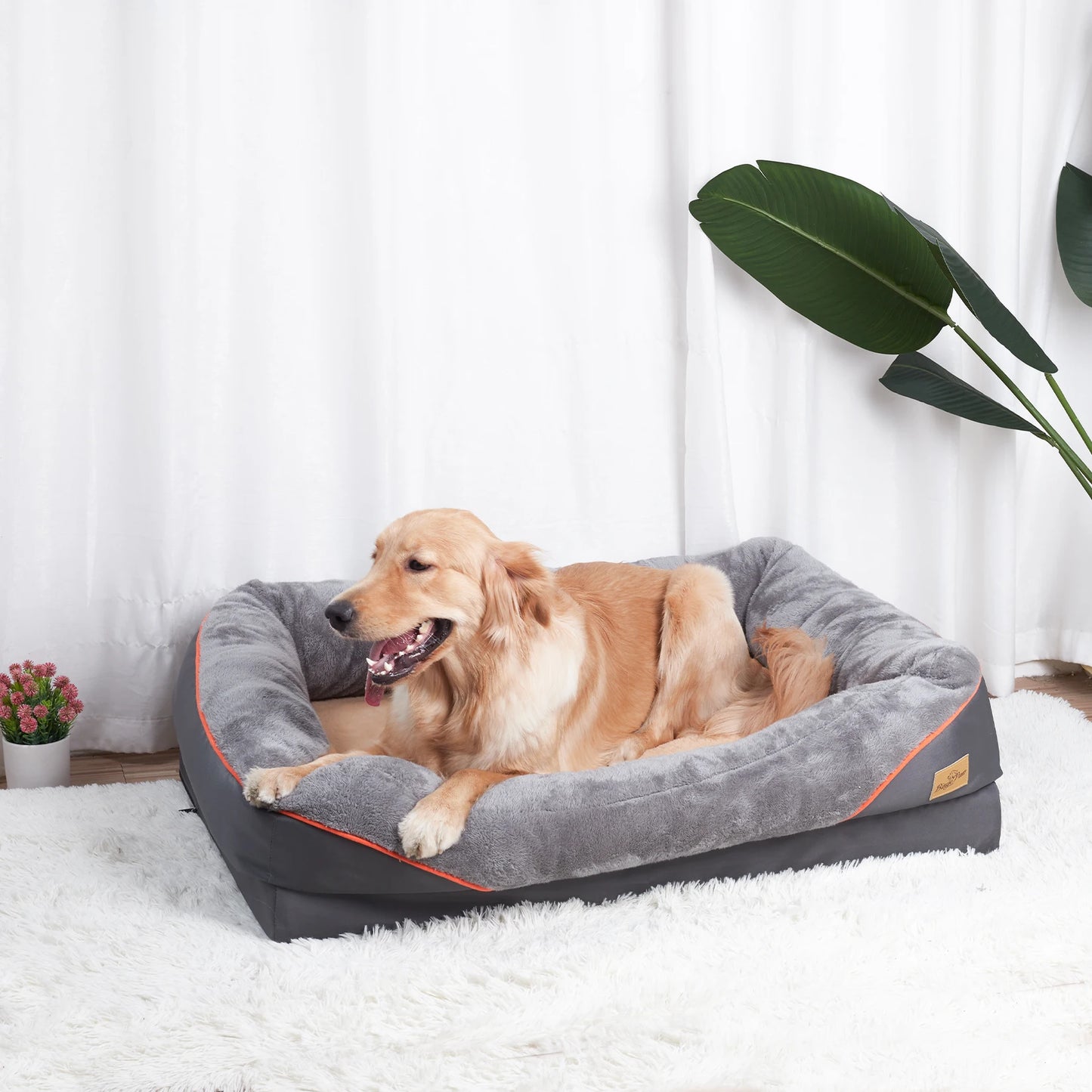 BINGOPAW Dog Bed Anti Allergy With Removable Washable Cover