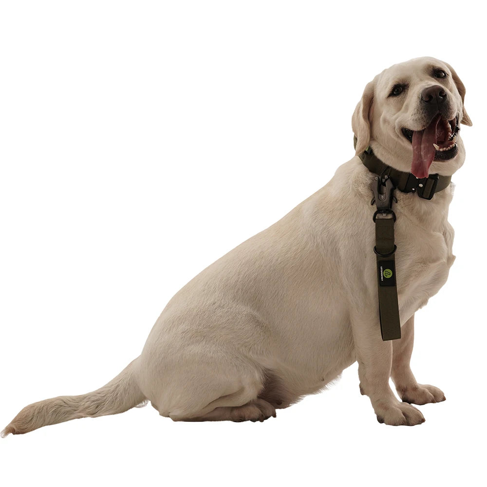 Short Dog Leash With Padded Handle Heavy Duty Nylon Traffic