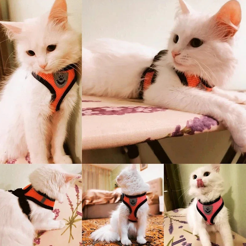 Cat Harness Vest With Leash And Adjustable Mesh For Pets